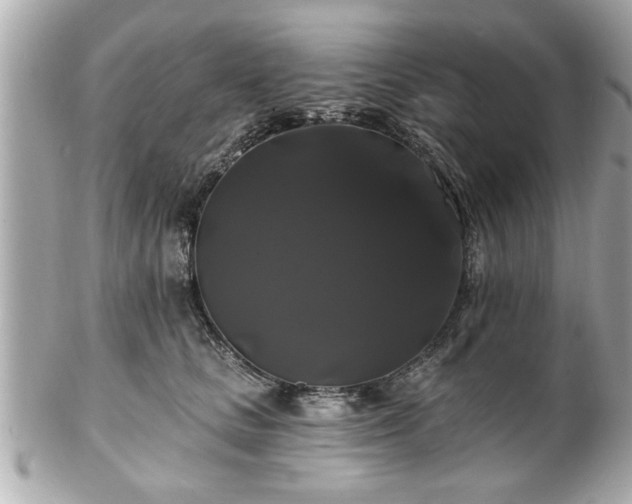 X0000102490661200808151457