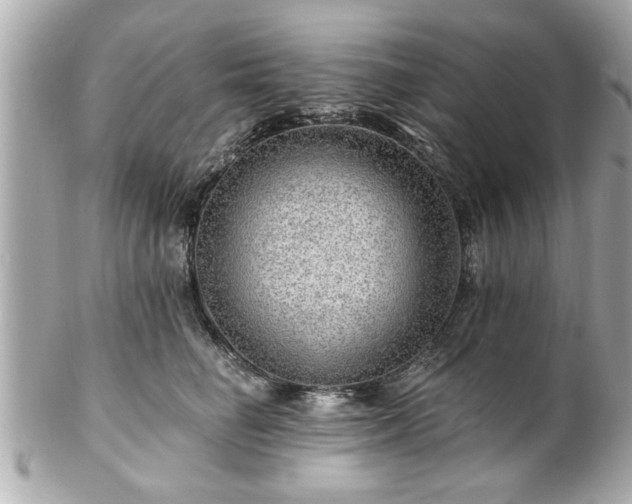 X0000102490662200808151457