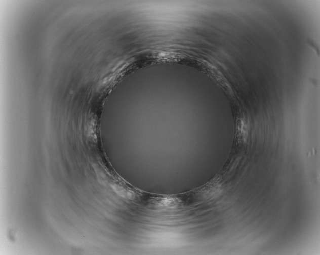 X0000102490663200808151457