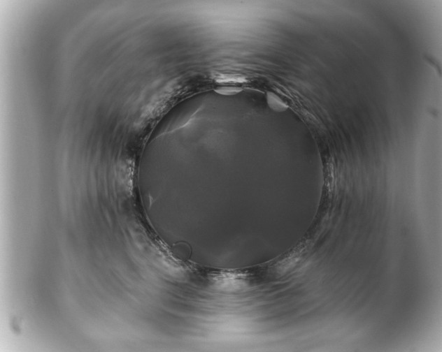 X0000102490664200808151457