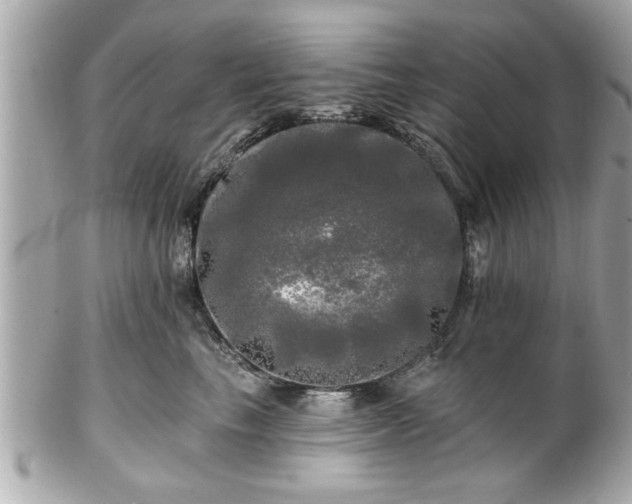 X0000102490665200808151457