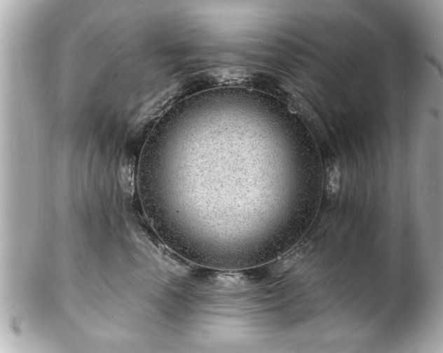 X0000102490666200808151457