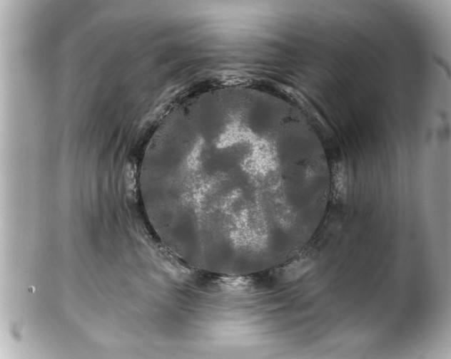 X0000102490667200808151457