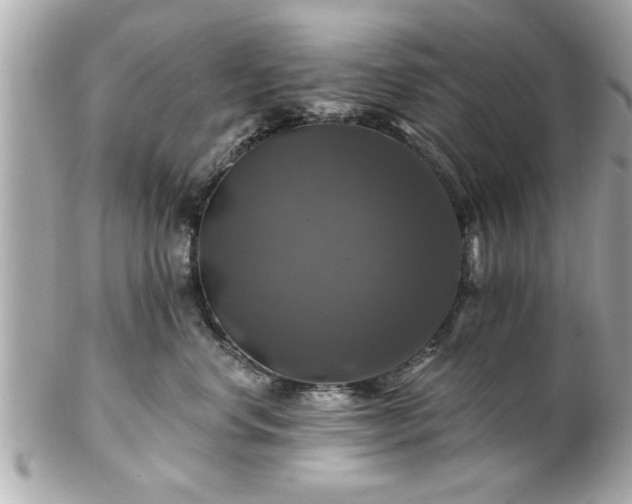 X0000102490668200808151457