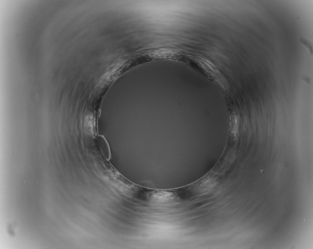 X0000102490669200808151457