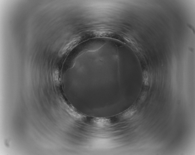 X0000102490670200808151457