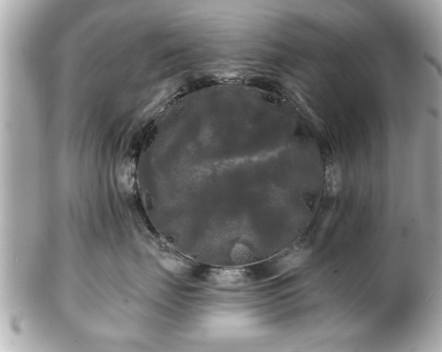 X0000102490671200808151457