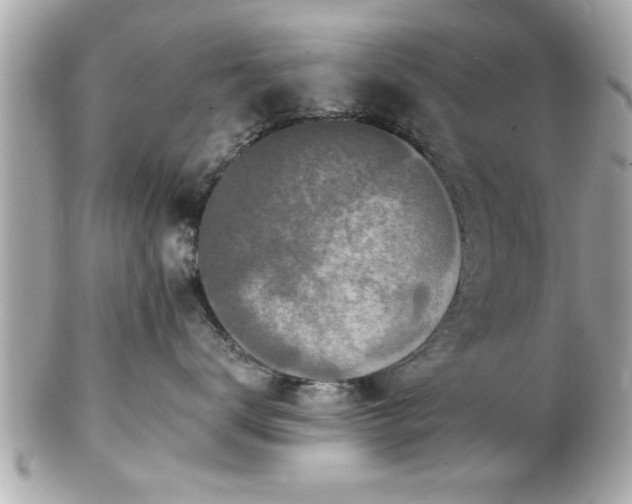 X0000102490672200808151457