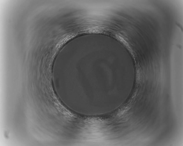 X0000102490673200808151457