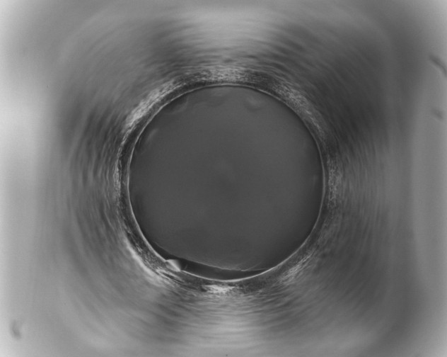 X0000102490674200808151457