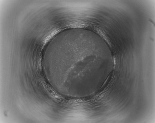 X0000102490675200808151457