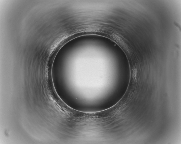 X0000102490676200808151457