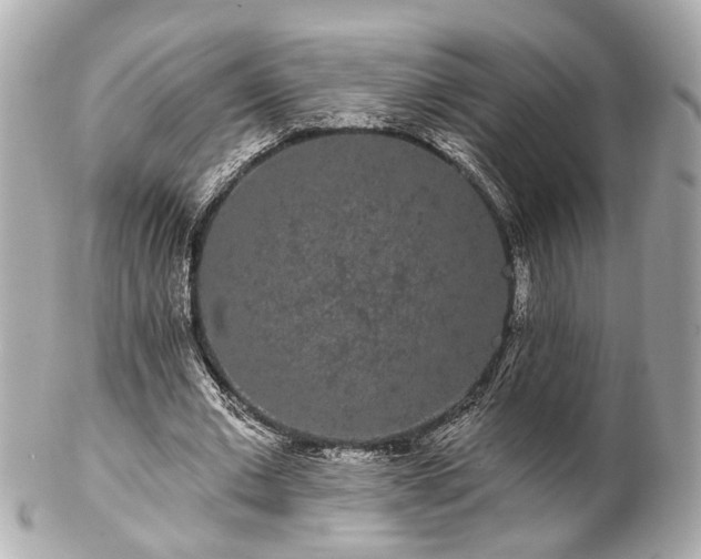 X0000102490677200808151457