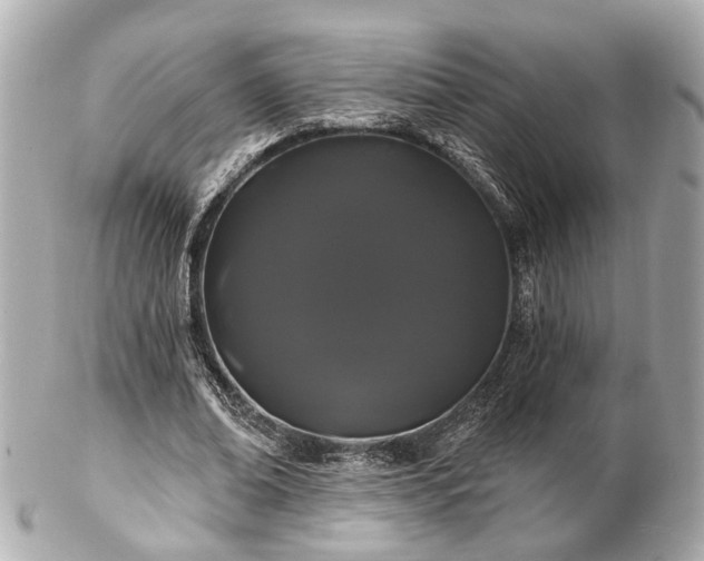 X0000102490678200808151457