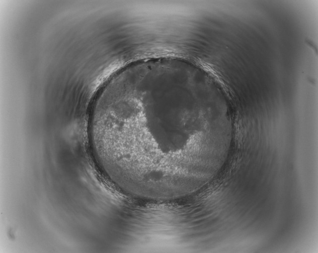 X0000102490679200808151457