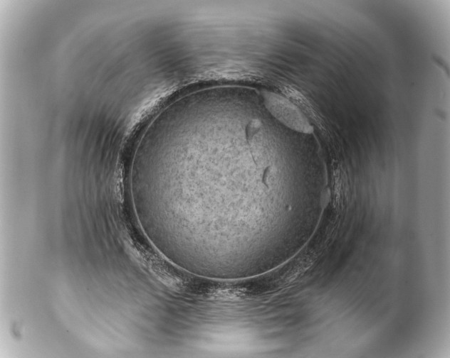 X0000102490680200808151457