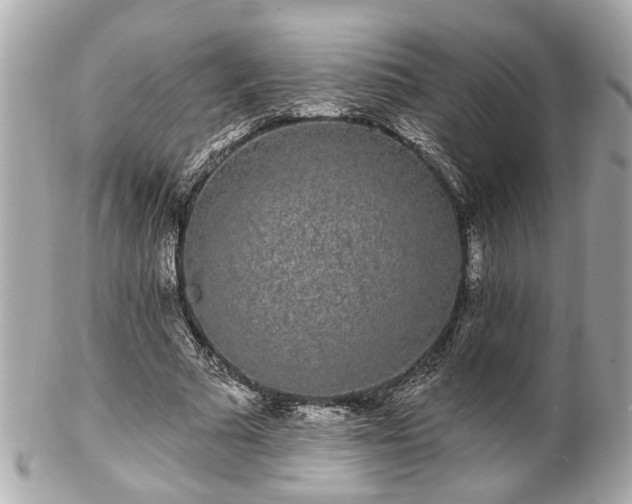 X0000102490681200808151457