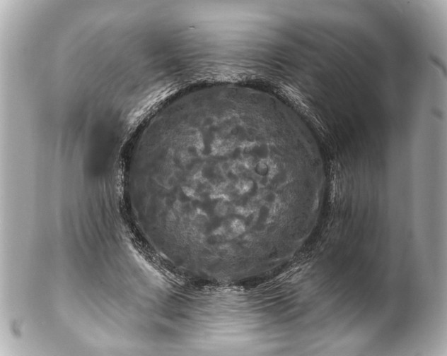 X0000102490683200808151457