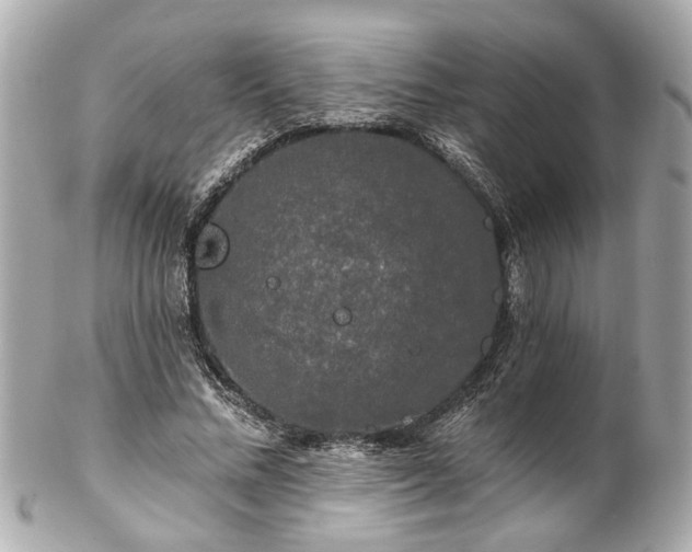 X0000102490684200808151457