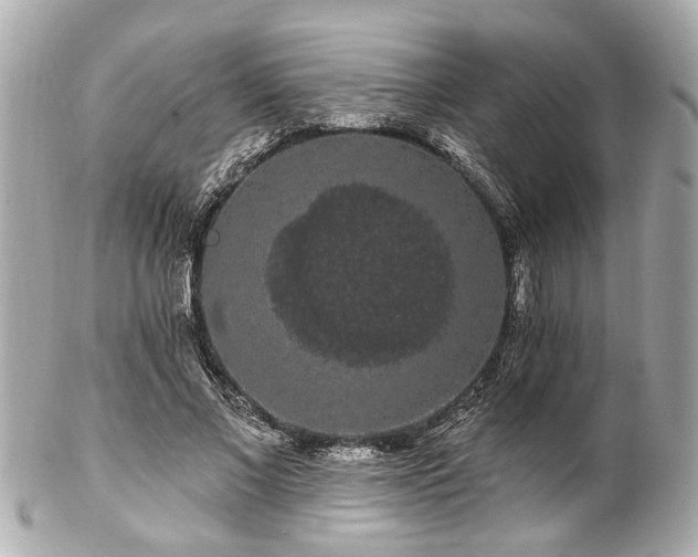 X0000102490685200808151457