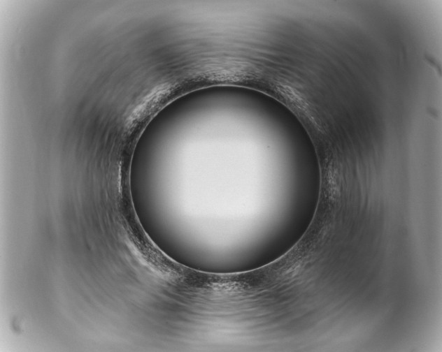 X0000102490686200808151457