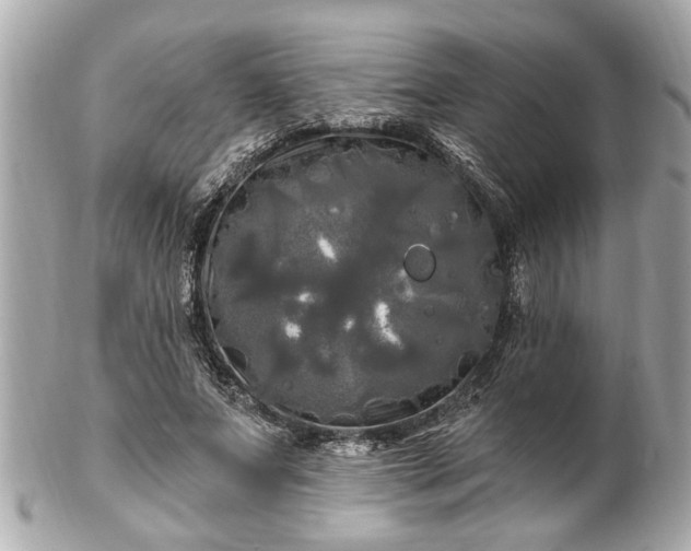 X0000102490687200808151457