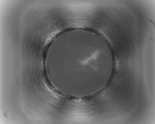 X0000102490688200808151457