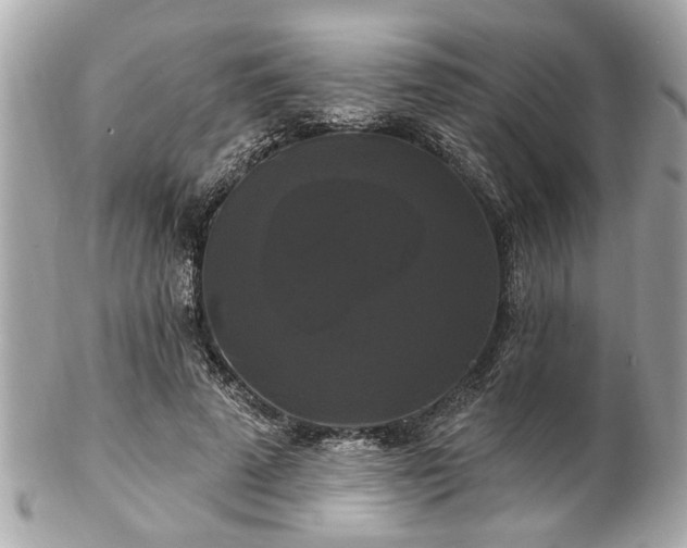 X0000102490689200808151457