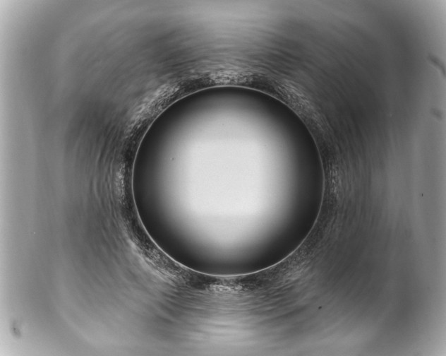 X0000102490690200808151457