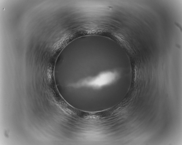 X0000102490691200808151456