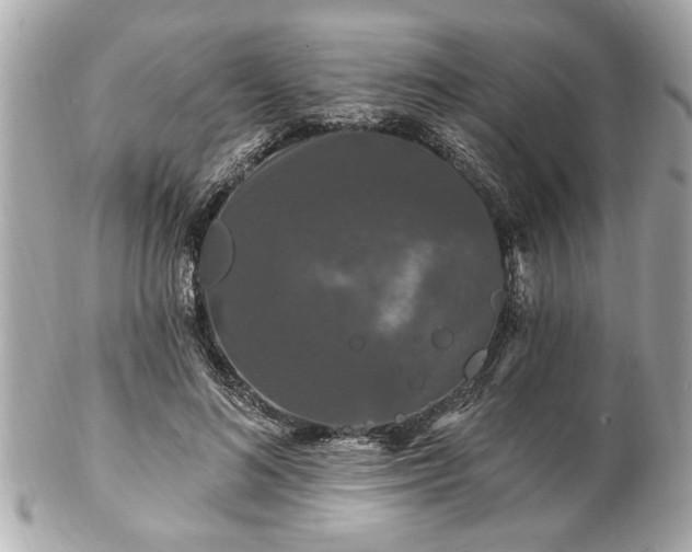 X0000102490692200808151456