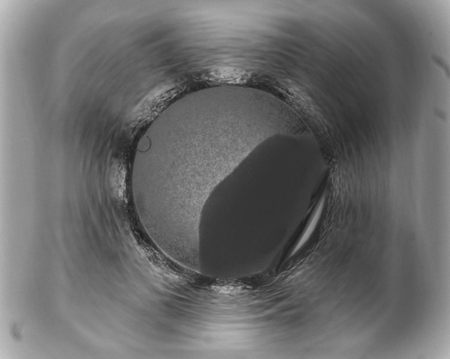 X0000102490693200808151456