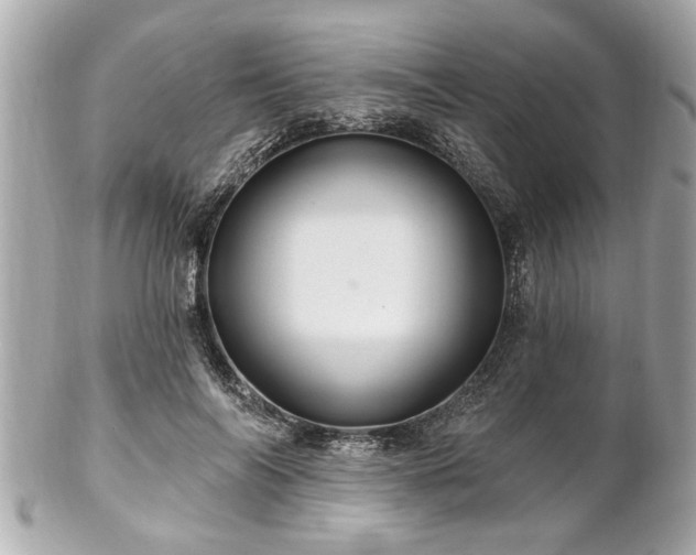 X0000102490694200808151456