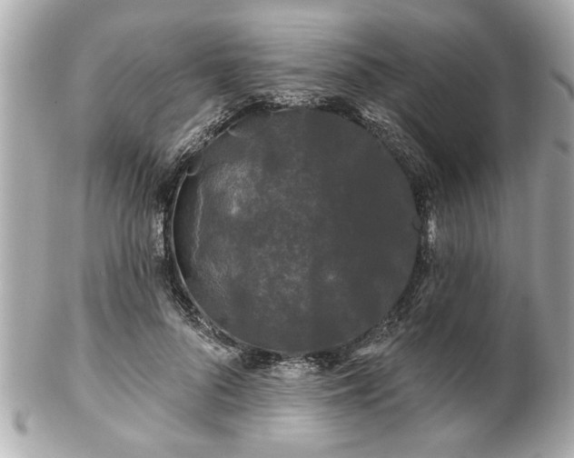 X0000102490696200808151456