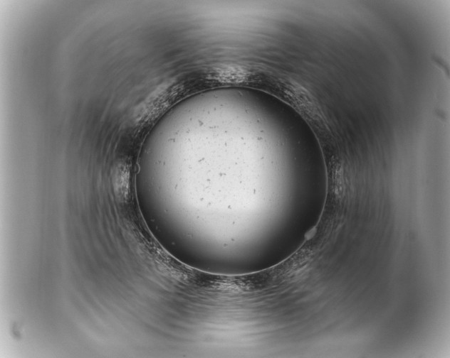 X0000102490697200808151456