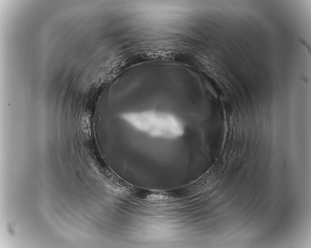 X0000102490699200808151456