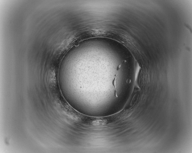 X0000102490700200808151456