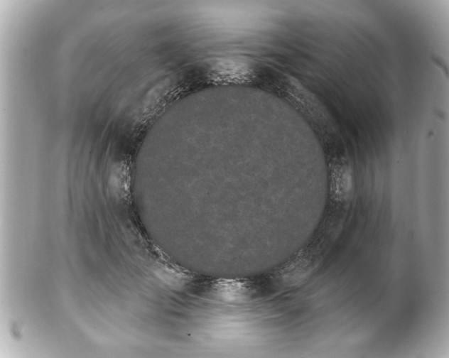 X0000102490701200808151456