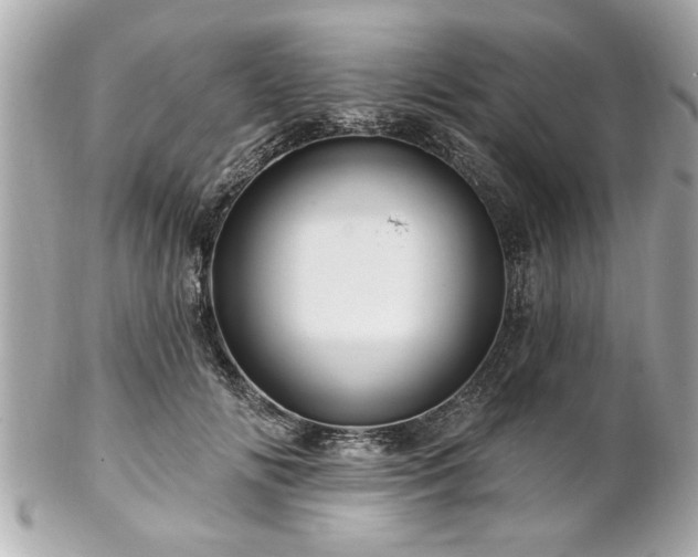 X0000102490702200808151456