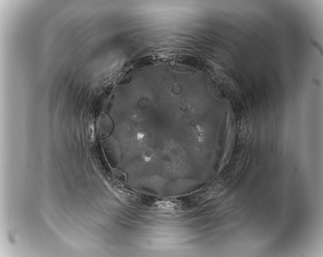 X0000102490703200808151456