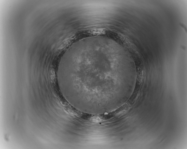 X0000102490704200808151456