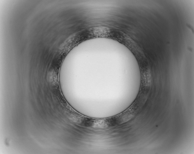 X0000102490705200808151456