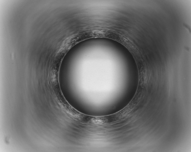 X0000102490706200808151456