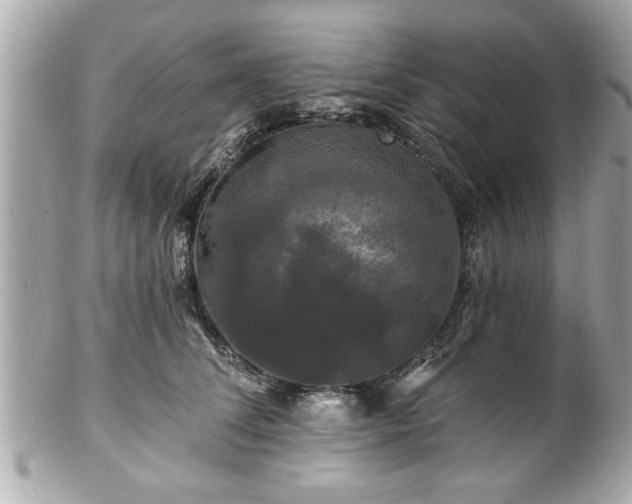 X0000102490708200808151456