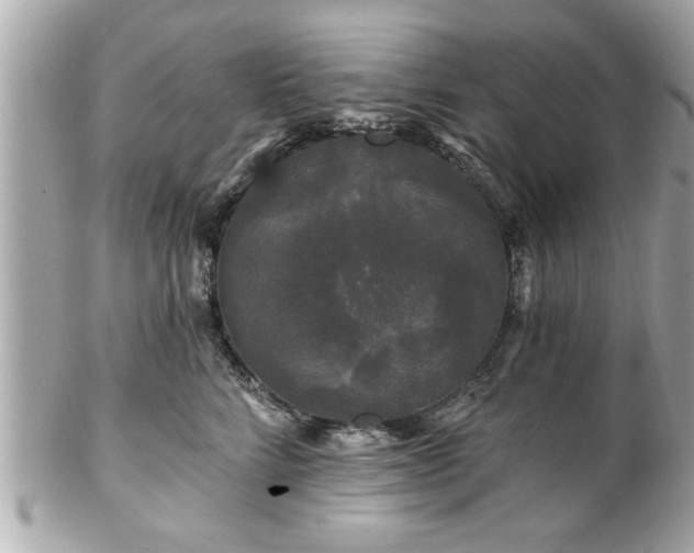 X0000102490712200808151456