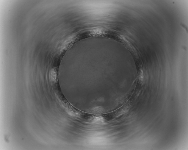 X0000102490715200808151456