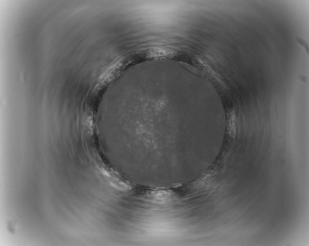 X0000102490716200808151456