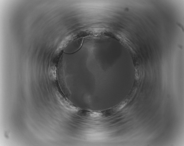 X0000102490718200808151456