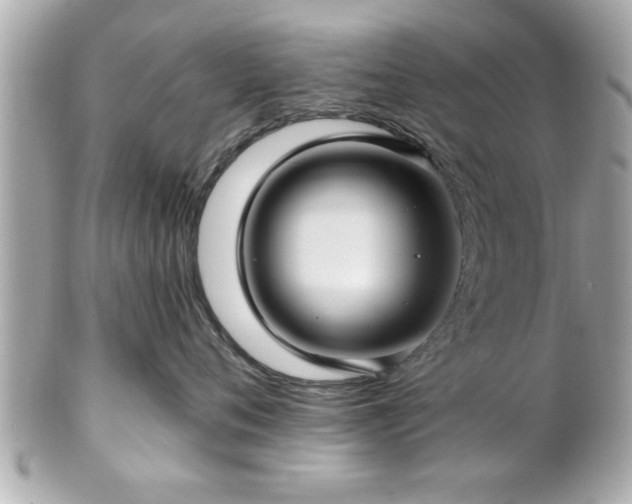 X0000102490720200808151456