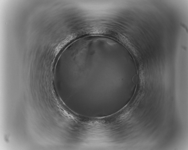 X0000102490721200808151455